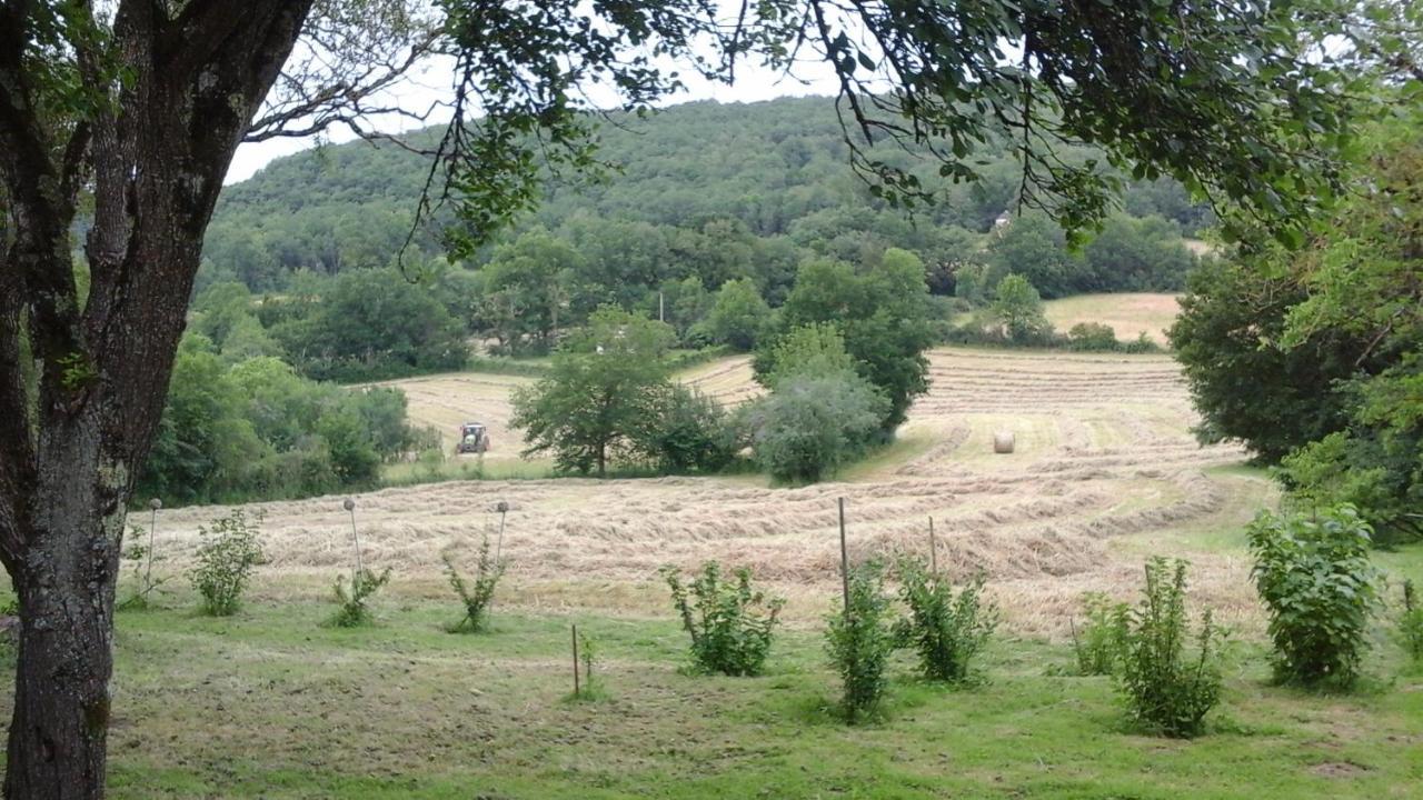 Les Trois Prunelles Saint-Pierre-Toirac エクステリア 写真