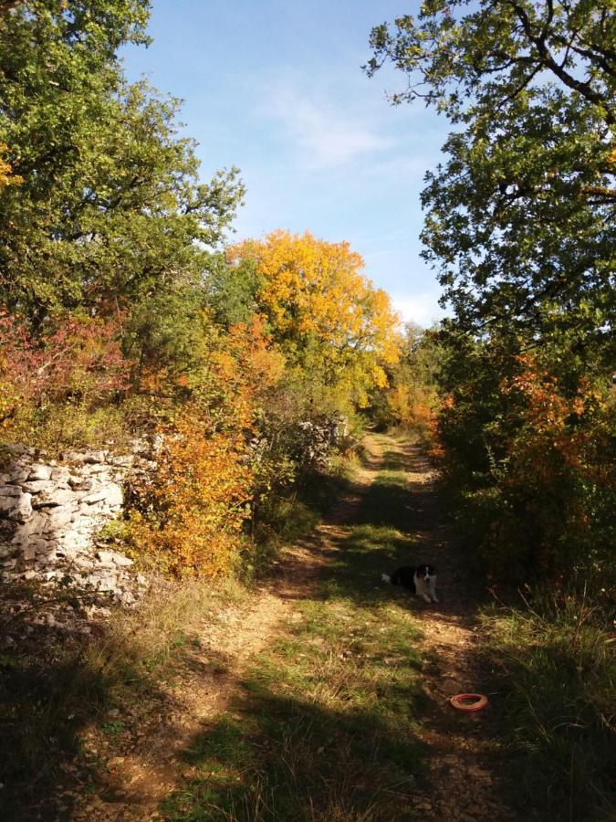 Les Trois Prunelles Saint-Pierre-Toirac エクステリア 写真