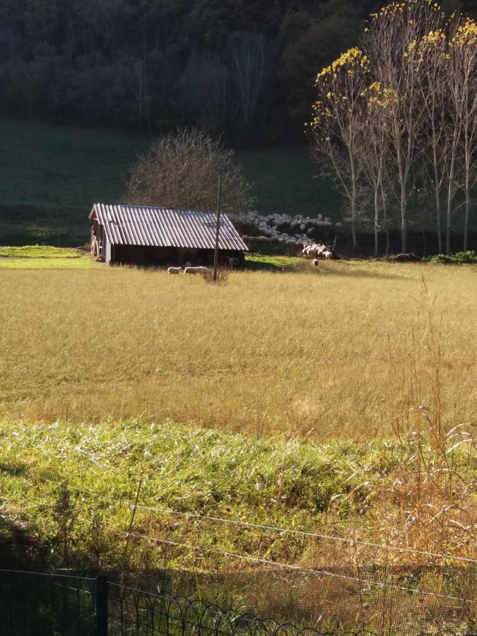 Les Trois Prunelles Saint-Pierre-Toirac エクステリア 写真
