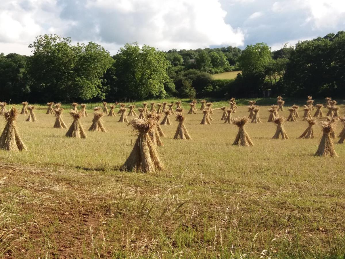 Les Trois Prunelles Saint-Pierre-Toirac エクステリア 写真